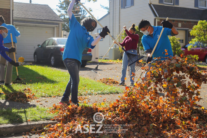 ASEZ Elmwood Park Leaf Cleanup