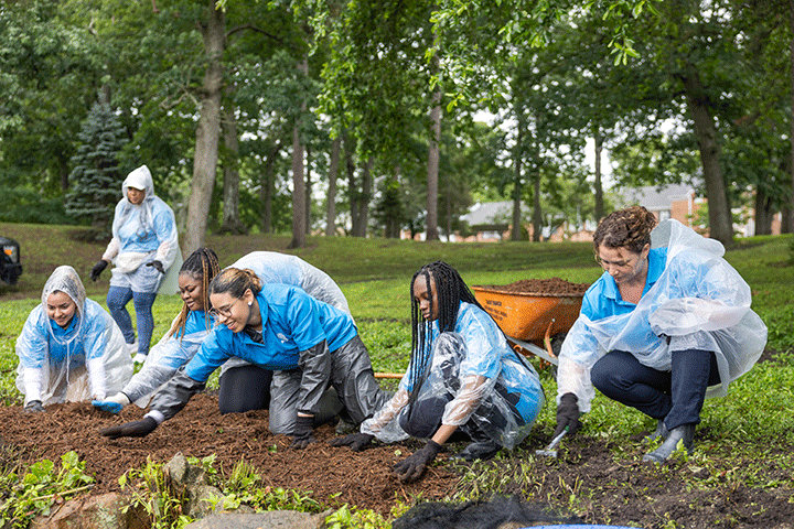 ASEZ Blue Carbon Awareness Survey - ASEZ Church of God University Student  Volunteers