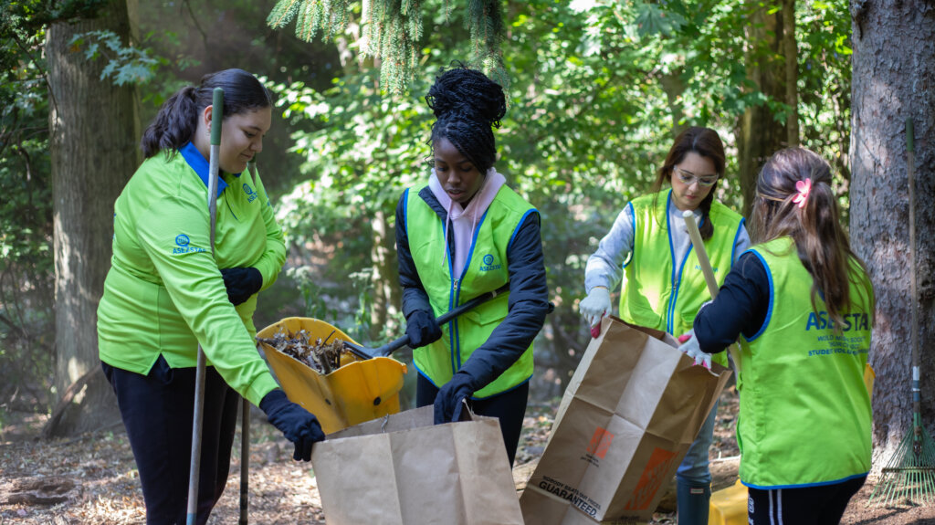 ASEZ STAR green world cleanup