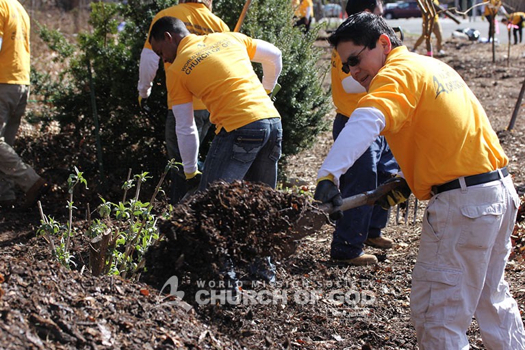 Mother's Love Growing in the Community Gardens Spreading Mulch