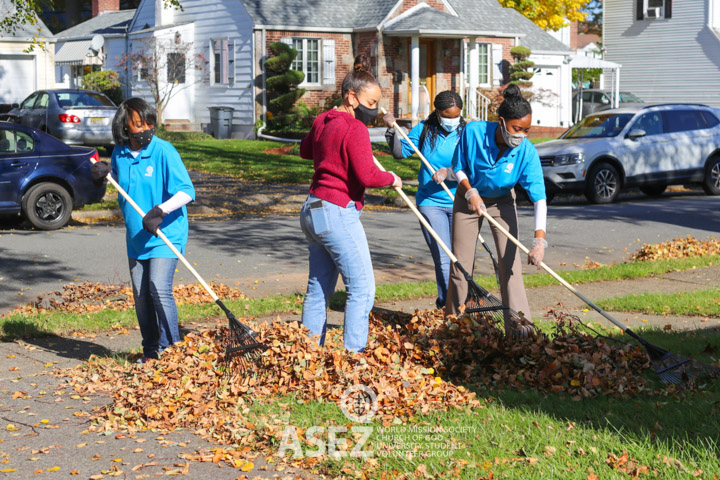 ASEZ Elmwood Park Leaf Cleanup