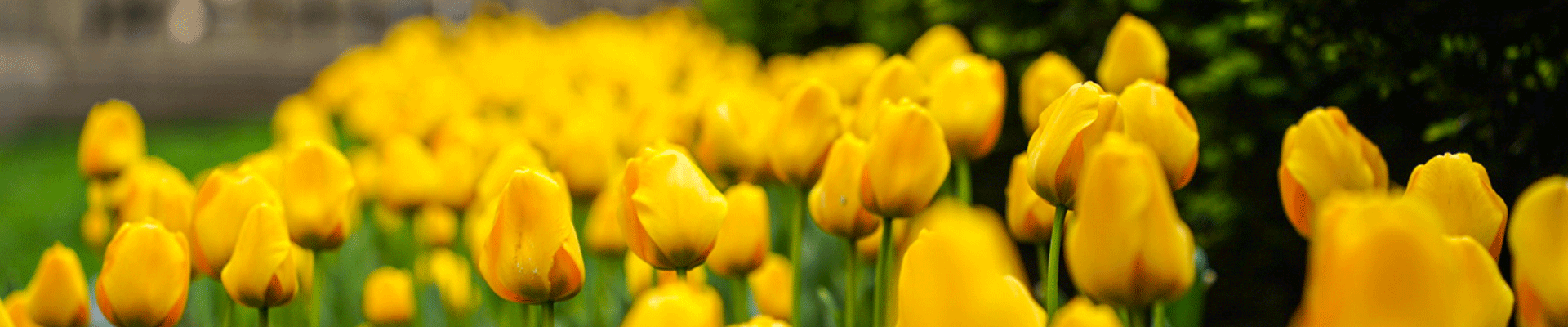 beliefs sabbath 2 1.png