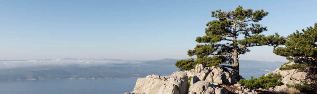 Headers (18)